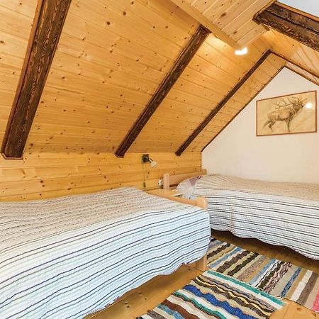 Apartman"Zibar" Skrad 外观 照片
